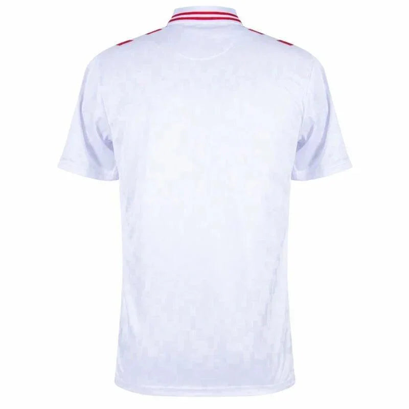 Denmark Away Jersey 2024/25