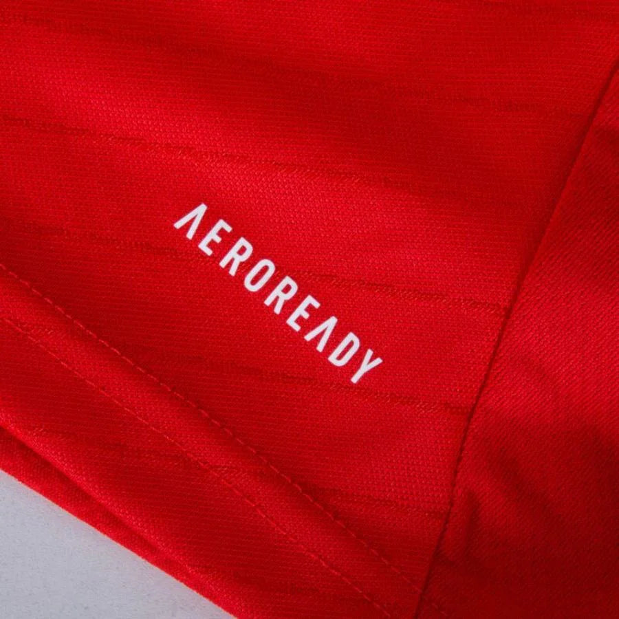 Benfica Home Fan Jersey 2024/25 Patches UCL UEFA Foundation (Official Printing)