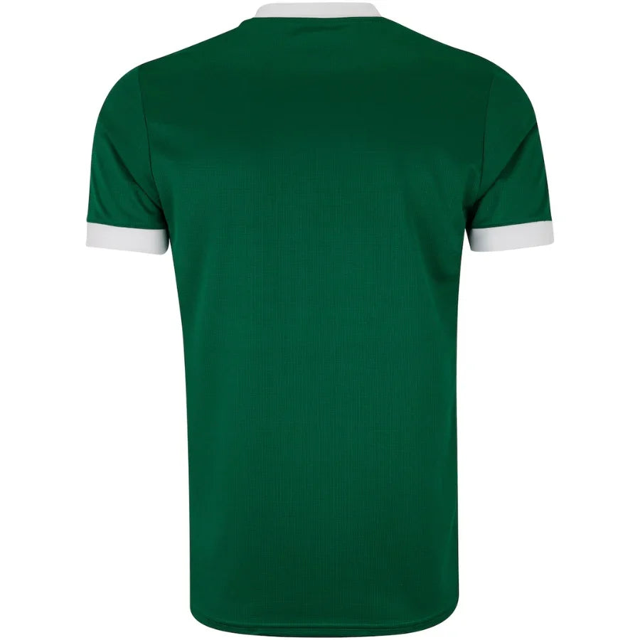 Palmeiras Home Fan Jersey 2025/26