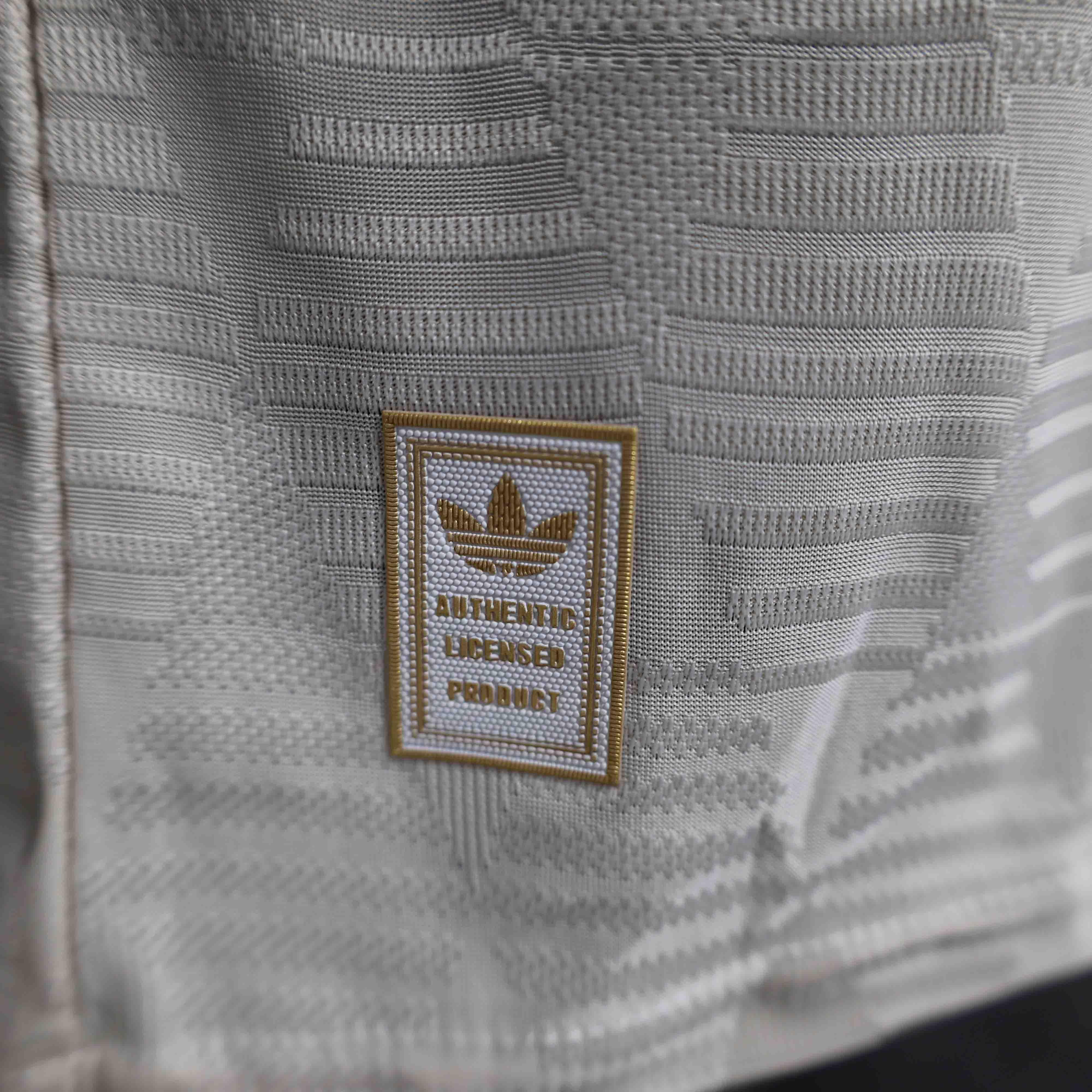 Bayern München Third Long Sleeve Authentic Player 2024/25