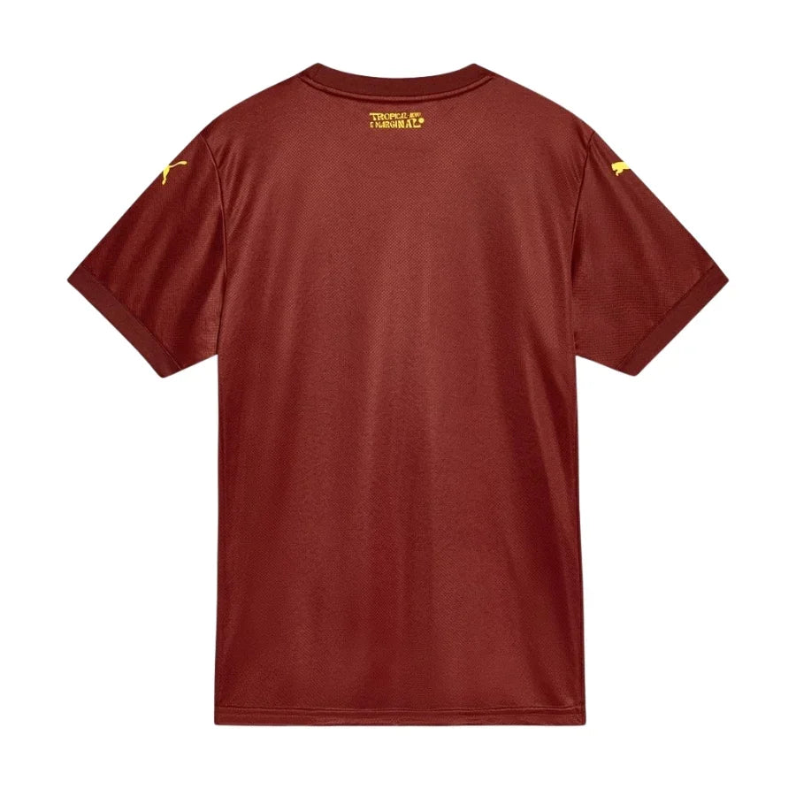 Bahia Third Fan Jersey 2025/26