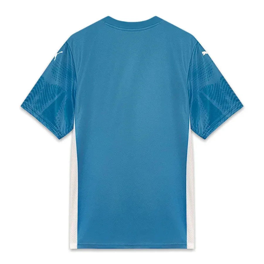 Palmeiras GK Home Fan Jersey 2025/26