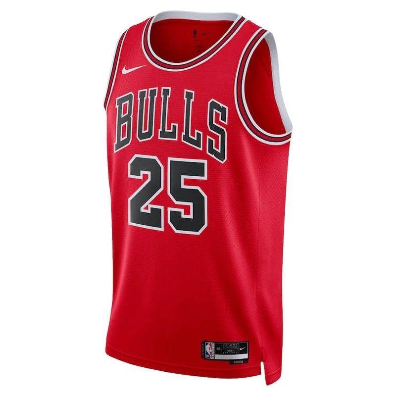 Dalen Terry Chicago Bulls Unisex 2022 NBA Jersey - Icon Edition - Red
