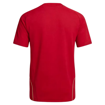 Retro Soccer Jersey Spain Home 2008