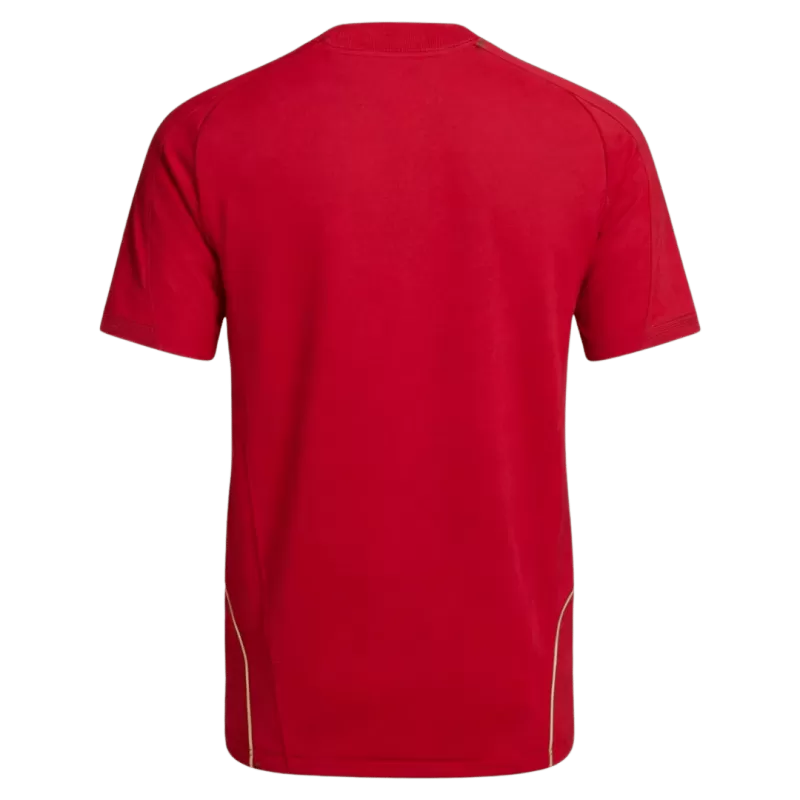 Retro Soccer Jersey Spain Home 2008