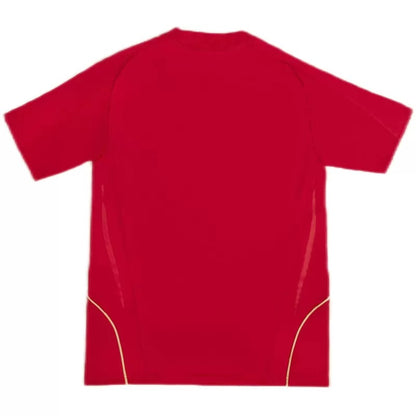 Retro Soccer Jersey Spain Home 2008